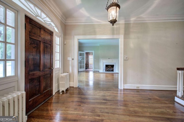 entrance foyer with crown molding, radiator heating unit, and dark hardwood / wood-style floors