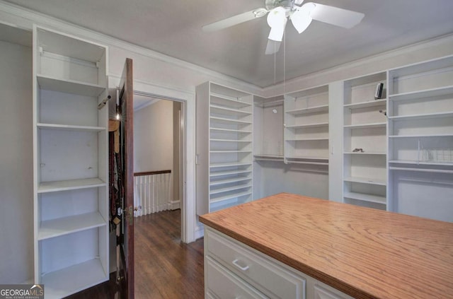 walk in closet featuring dark hardwood / wood-style floors and ceiling fan