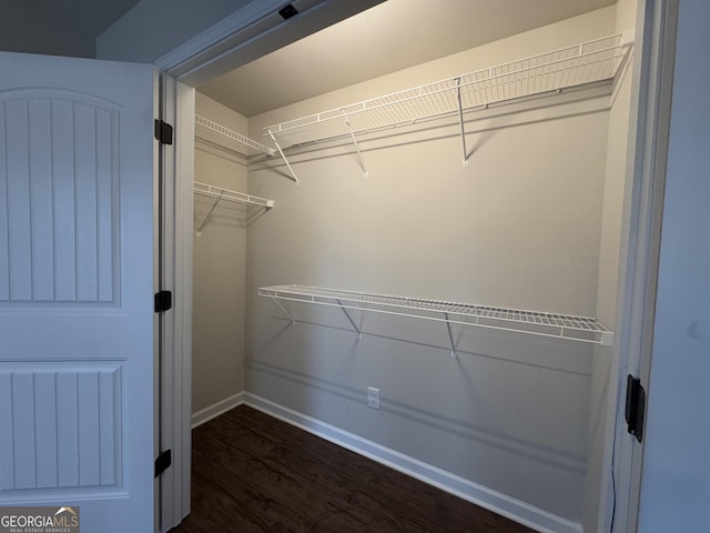 spacious closet with dark hardwood / wood-style flooring