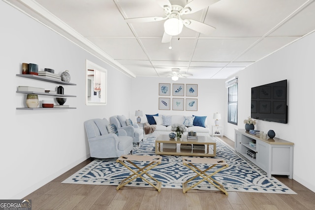 living room featuring a drop ceiling, hardwood / wood-style flooring, and ceiling fan