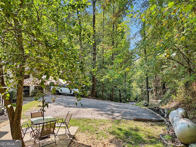 view of yard with a patio area