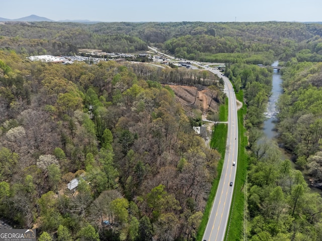 drone / aerial view