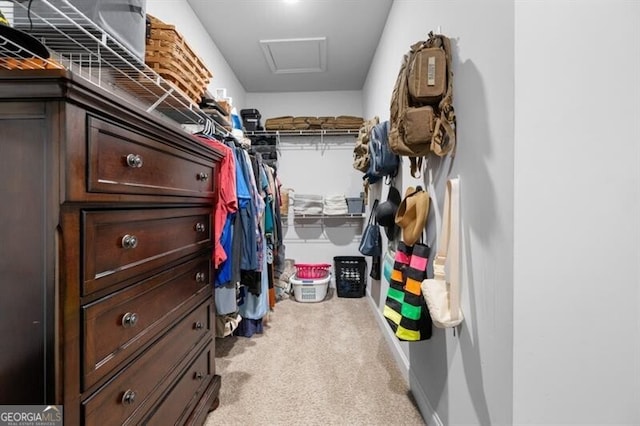 walk in closet with light carpet