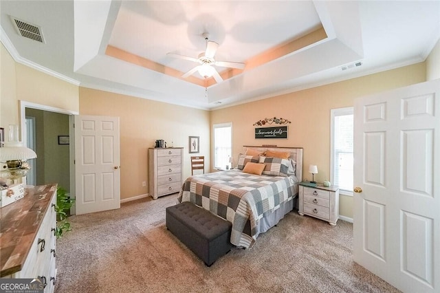 bedroom featuring multiple windows, a tray ceiling, and light colored carpet