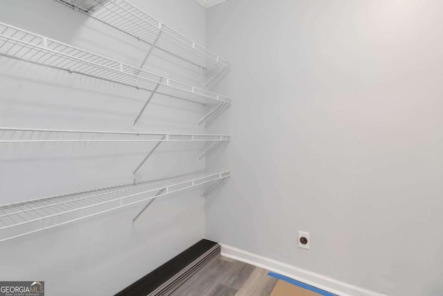 spacious closet with wood-type flooring