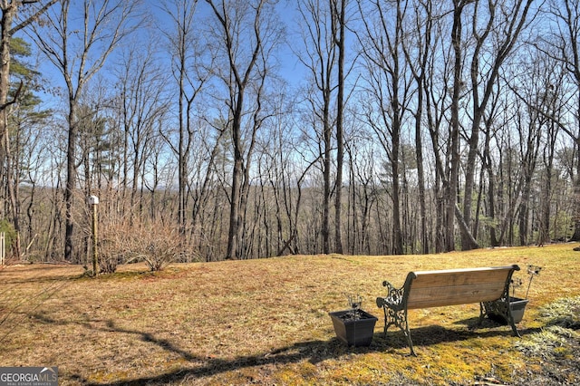 view of yard with a view of trees