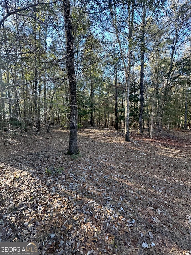 view of local wilderness