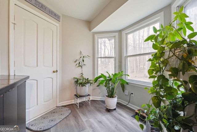 sitting room featuring light hardwood / wood-style flooring