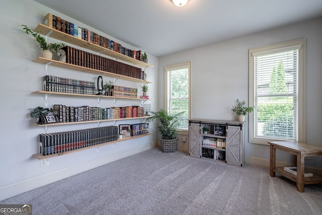 interior space featuring carpet