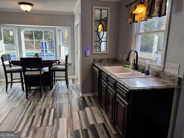 kitchen featuring sink, dark brown cabinets, ornamental molding, and wood-type flooring