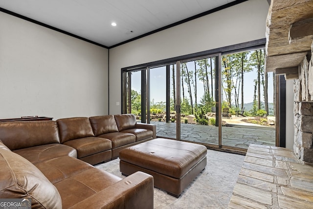 living room featuring ornamental molding