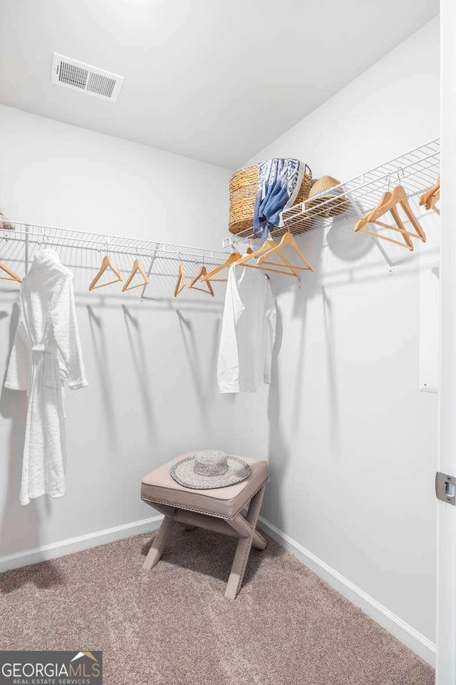 walk in closet featuring carpet flooring