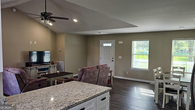 214 Harris St, Chatsworth, GA 30705 - kitchen with open floor plan, white cabinets, light stone countertops, and dark wood-type flooring