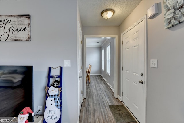 hall featuring wood-type flooring and a textured ceiling