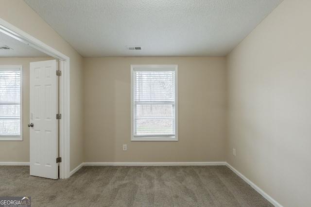 empty room featuring a wealth of natural light and light colored carpet