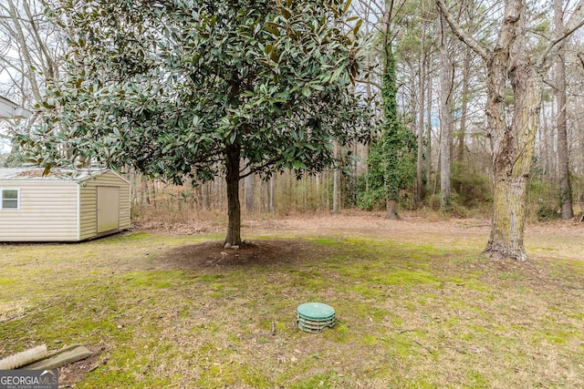 view of yard featuring a storage shed