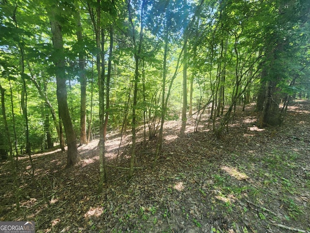 Listing photo 3 for LOT3 Meadow View Dr Unit 3, Morganton GA 30560