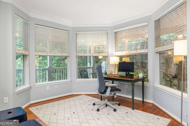 office area with wood-type flooring and ornamental molding