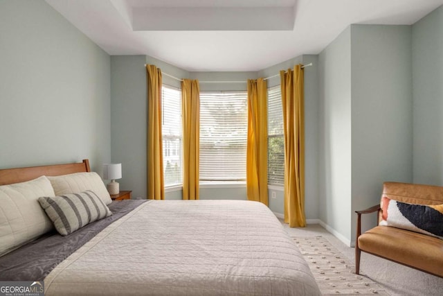 carpeted bedroom with a tray ceiling