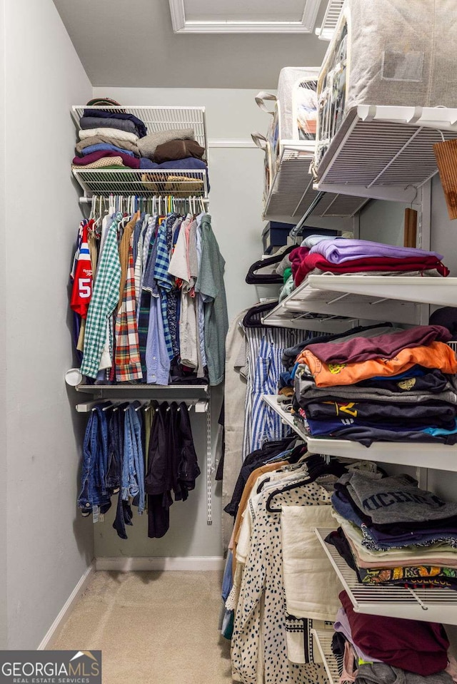 spacious closet featuring carpet