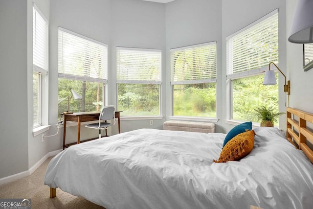 view of carpeted bedroom