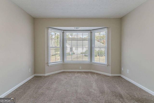 unfurnished room with carpet and a textured ceiling