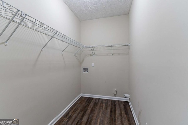 washroom with washer hookup, dark hardwood / wood-style floors, and a textured ceiling