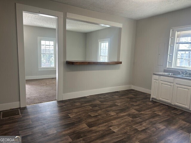 interior space with dark wood-type flooring, sink, and a textured ceiling