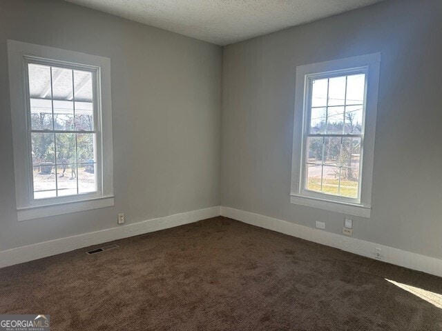 carpeted empty room featuring a wealth of natural light and a textured ceiling