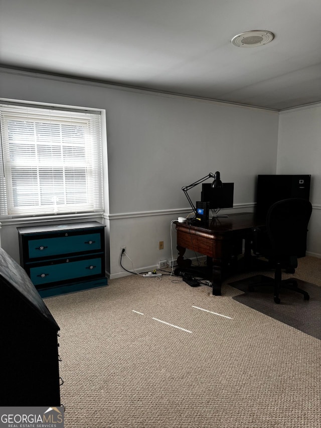 office featuring carpet