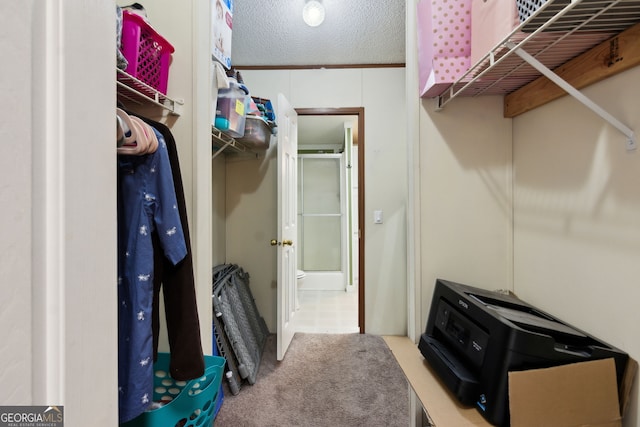 spacious closet featuring carpet