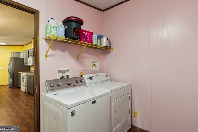 laundry room featuring separate washer and dryer and dark hardwood / wood-style flooring