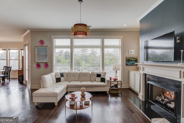 living room with a premium fireplace, crown molding, and dark hardwood / wood-style floors