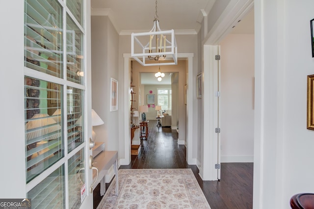 entryway with ornamental molding, dark hardwood / wood-style floors, and a notable chandelier