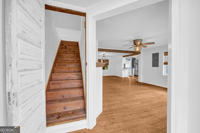 staircase with wood-type flooring, electric panel, and ceiling fan