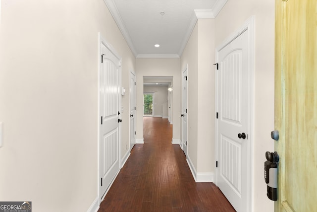 corridor with ornamental molding and dark hardwood / wood-style floors