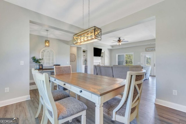 dining space with ceiling fan and dark hardwood / wood-style flooring