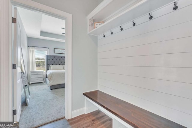 mudroom featuring a raised ceiling and wood-type flooring