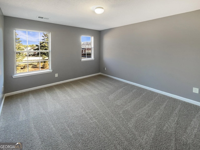 carpeted empty room featuring a wealth of natural light and a textured ceiling