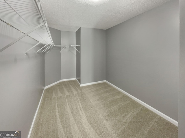 spacious closet with carpet floors