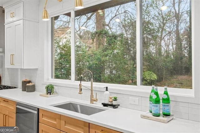 kitchen with decorative backsplash, a wealth of natural light, a sink, and stainless steel dishwasher