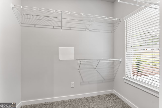 910 Bevis Rd, Franklin, GA 30217 - spacious closet with carpet flooring