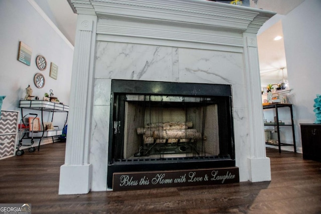 details featuring hardwood / wood-style flooring and a high end fireplace