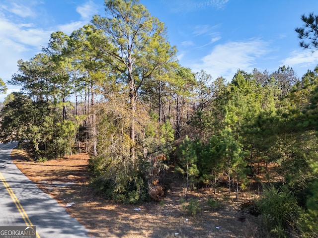 0 Pipkin Rd, Hinesville, GA 31313