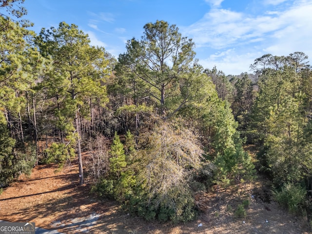 0 Pipkin Rd, Hinesville, GA 31313