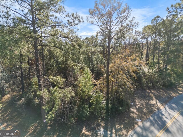 0 Pipkin Rd, Hinesville, GA 31313