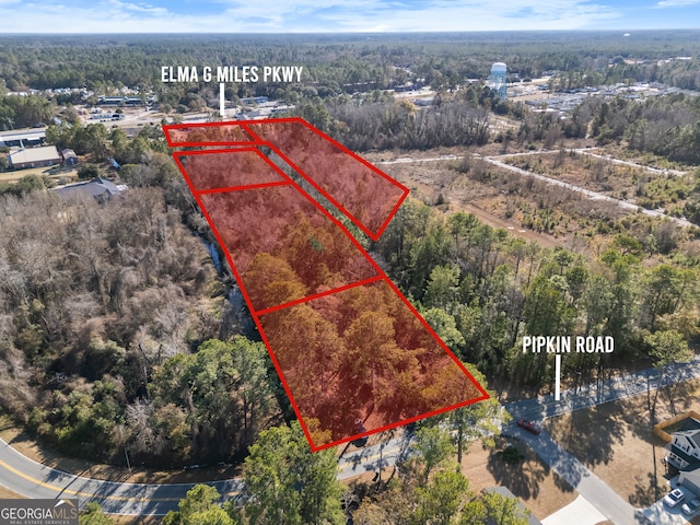0 Pipkin Rd, Hinesville, GA 31313