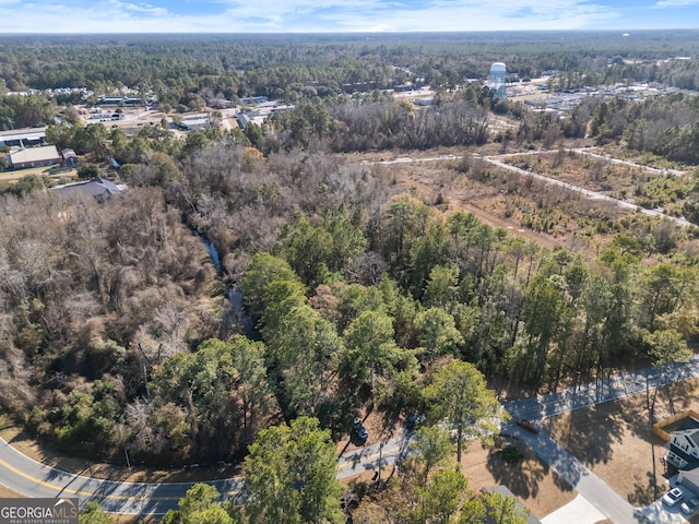 0 Pipkin Rd, Hinesville, GA 31313