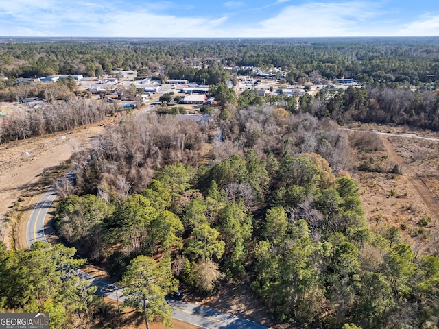 0 Pipkin Rd, Hinesville, GA 31313