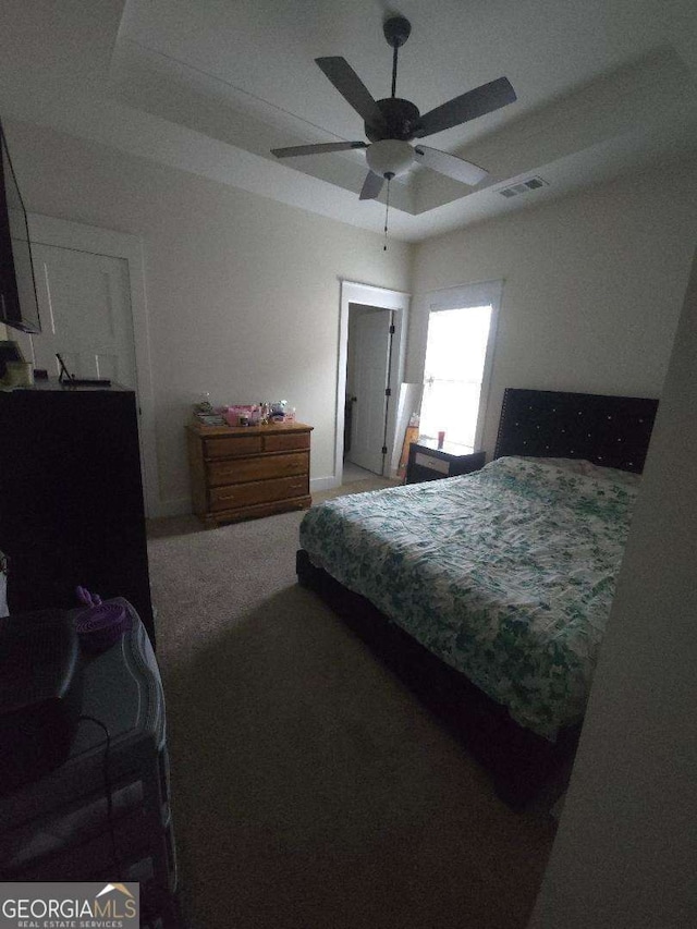 bedroom featuring a raised ceiling and ceiling fan